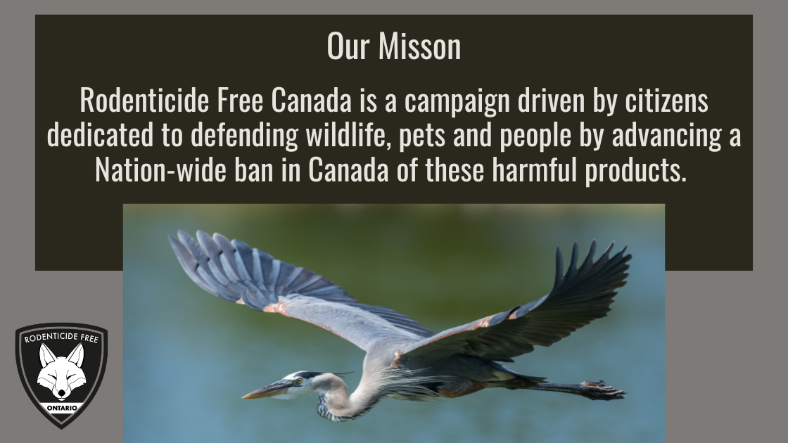 Mission statement