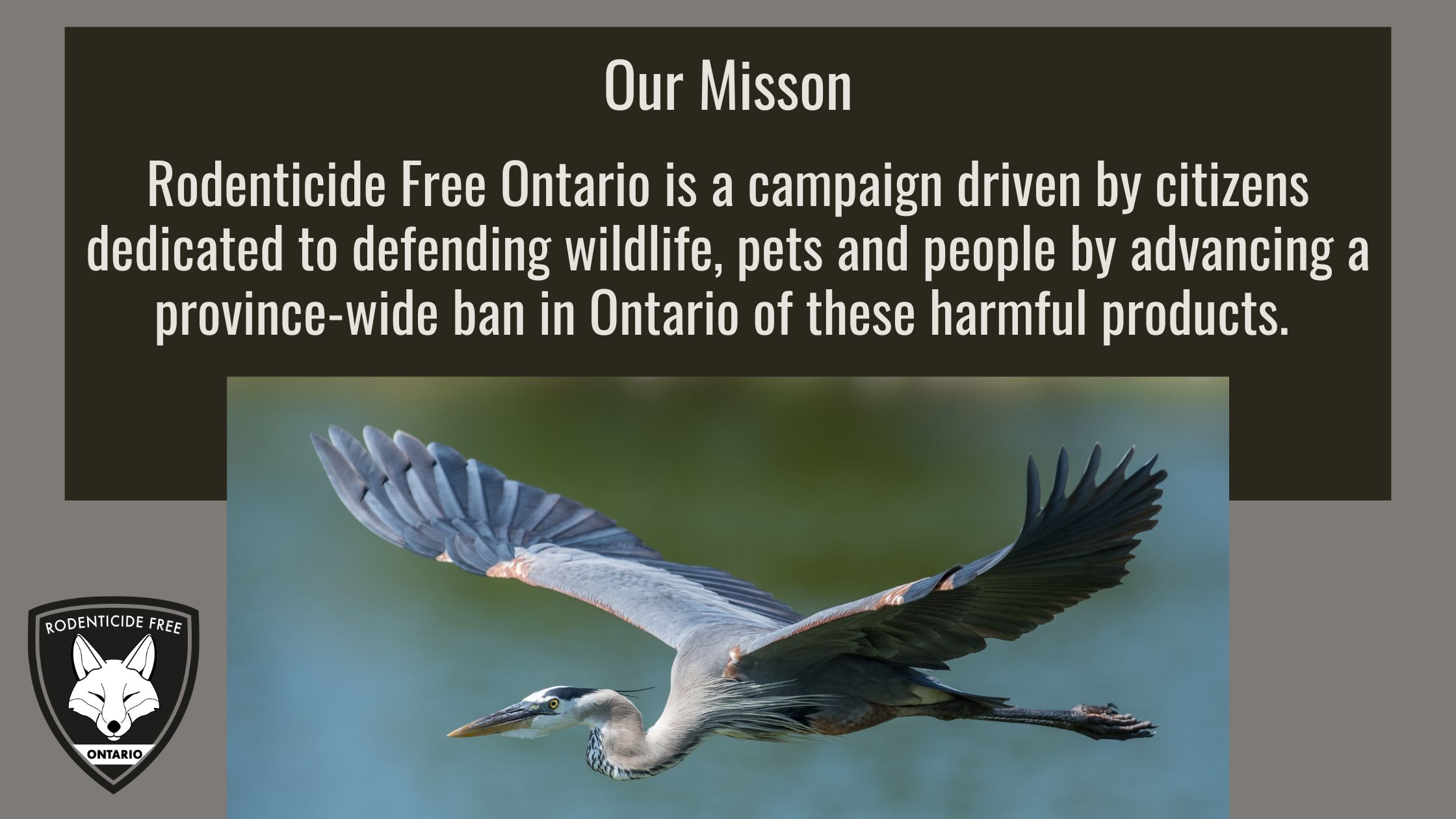RFO Homepage Banner Mission