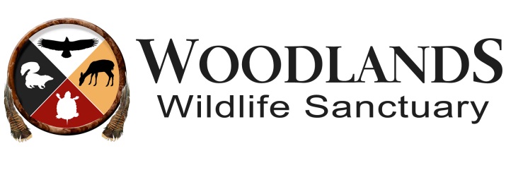 WWS